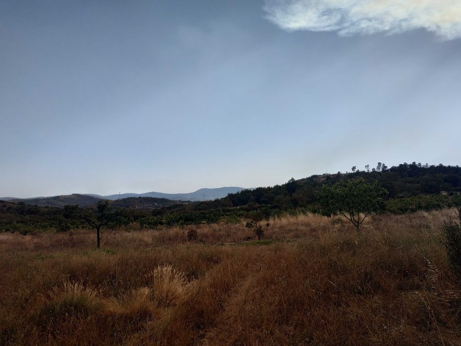 Terreno agrícola em activo.
