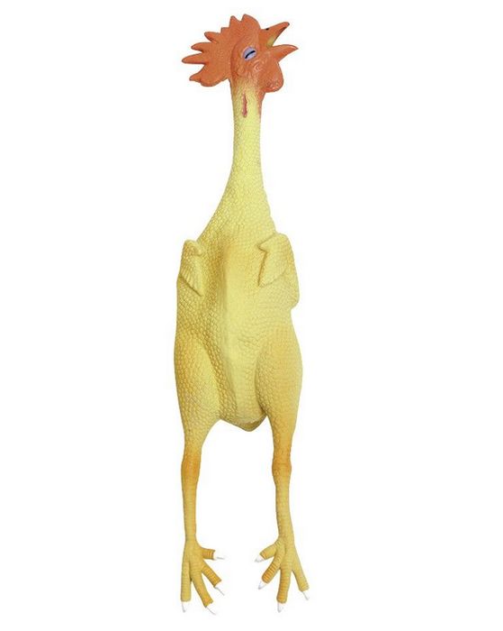 Lateksowy Kogut Dla Psa 40cm Zabawka Edukacyjna Piszcząca Zoojoy
