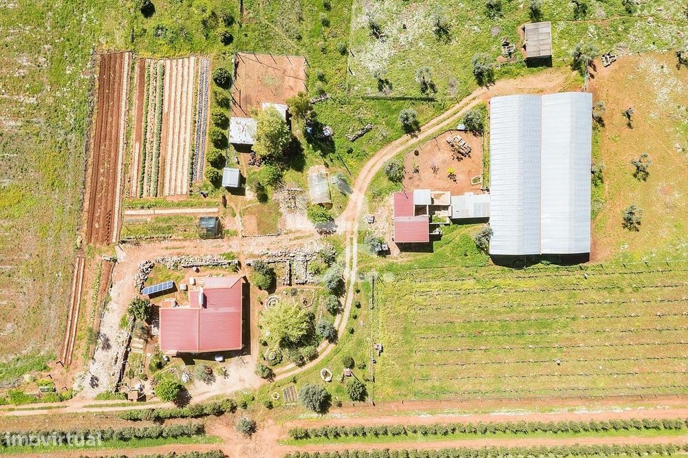 Quinta com 7,4 ha c/ Moradia em Renovação e Infraestruturas Agrícolas