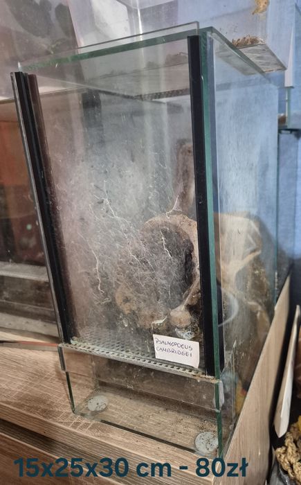 Terraria rozne wymiary.