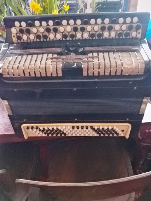Баяни часів СРСР(багато)