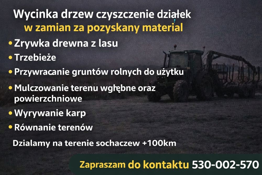 Wycinka drzew samosiejki czyszczenie działek