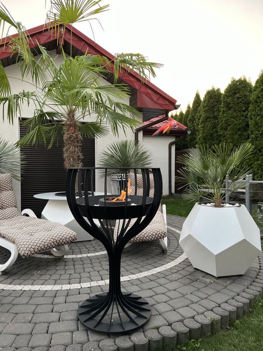 Bio kominek, palenisko