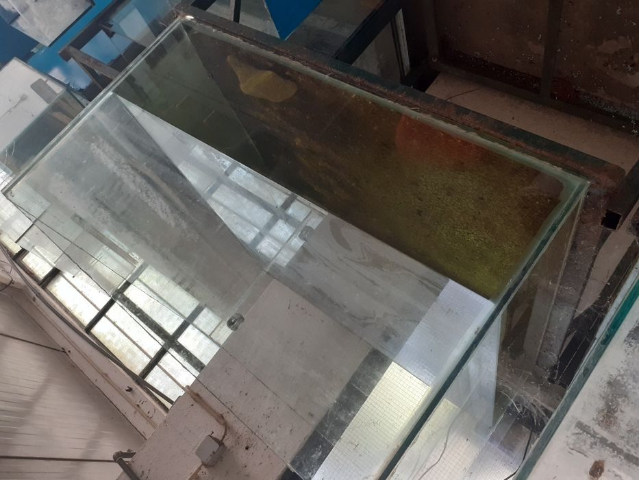 Aquário tanque criação 1metro x 1metro