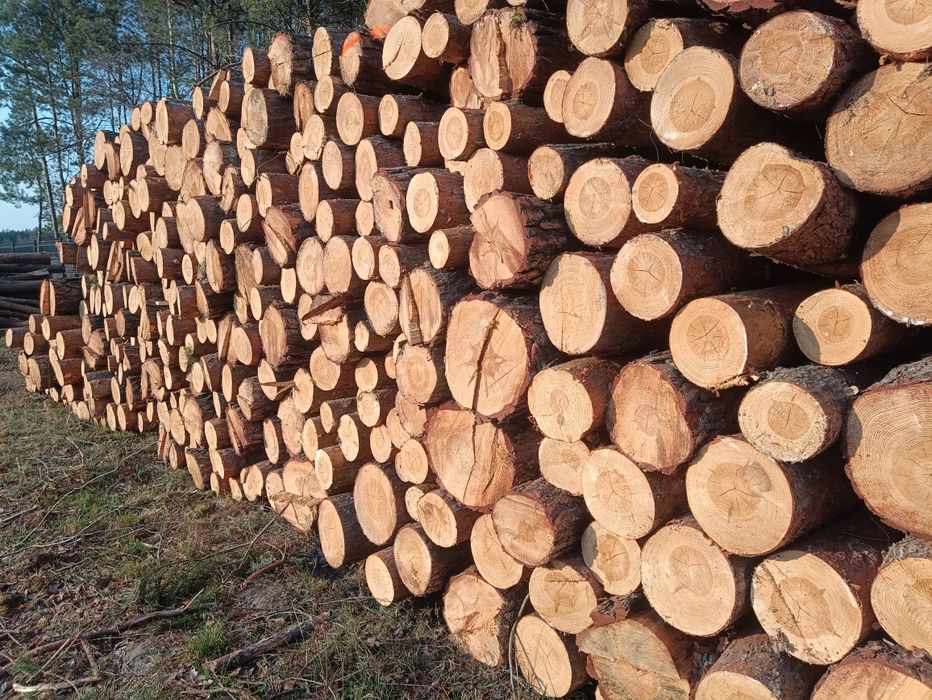 Sosna gruba  wałki, drewno na palety