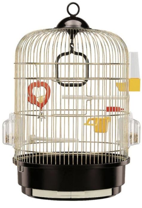 Gaiolas novas em loja