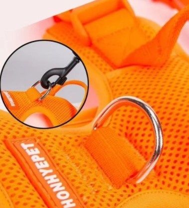 Шлея анатомічна для собак