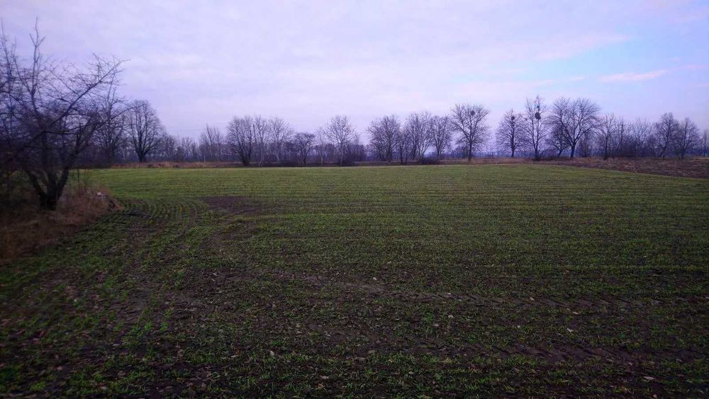 Терміново! Продається приватизована земельна ділянка (під будівництво)