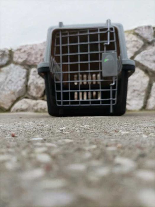 Transportadora para animais
Transportadora para anima