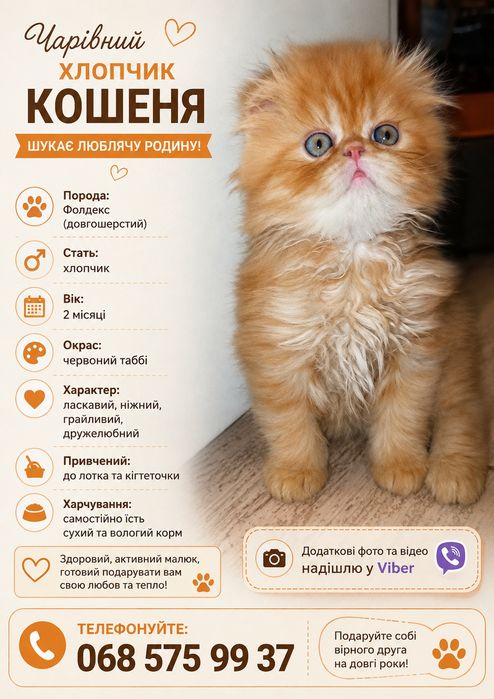 Чарівний хлопчик