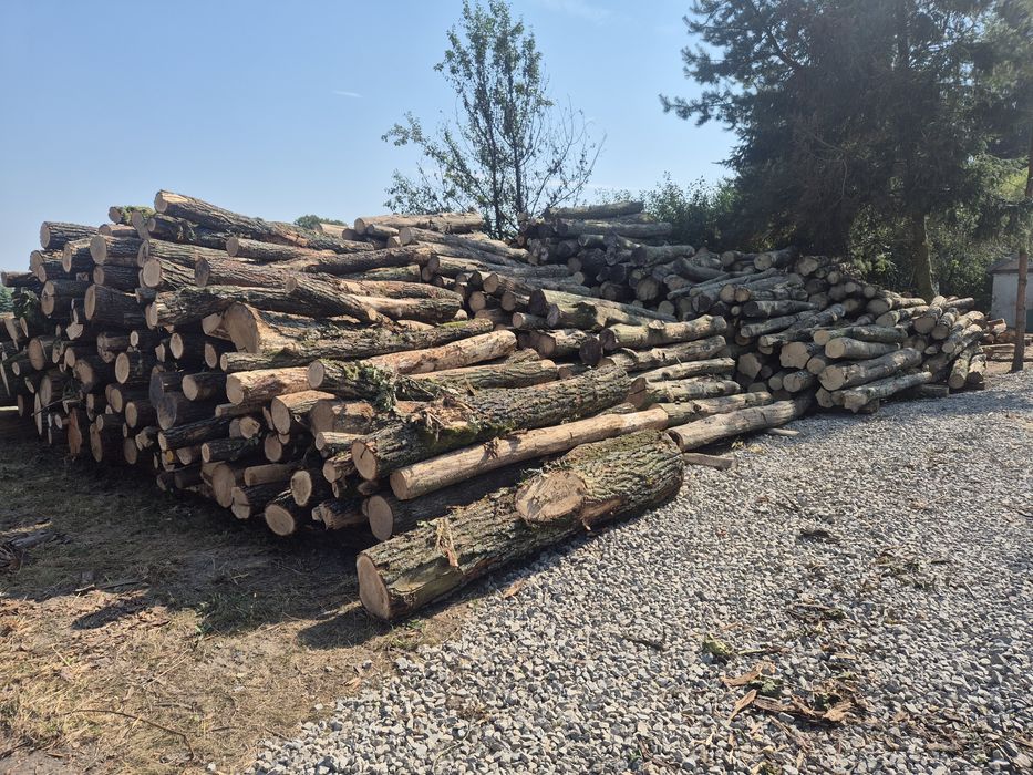 Drewno opałowe metry,stosy.Dąb grab brzoza olcha czereśnia jawor sosna