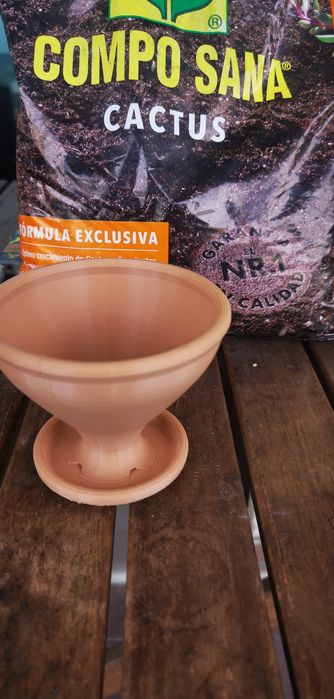 Vaso Suculenta e cactos
