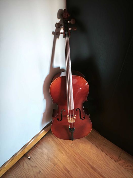 Vários Violoncelos Hofner, Carlo Giordano, Kreutzer, Palatino, etc