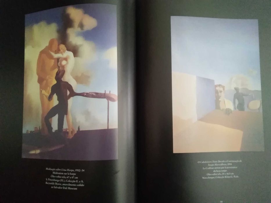 Livro Salvador Dali