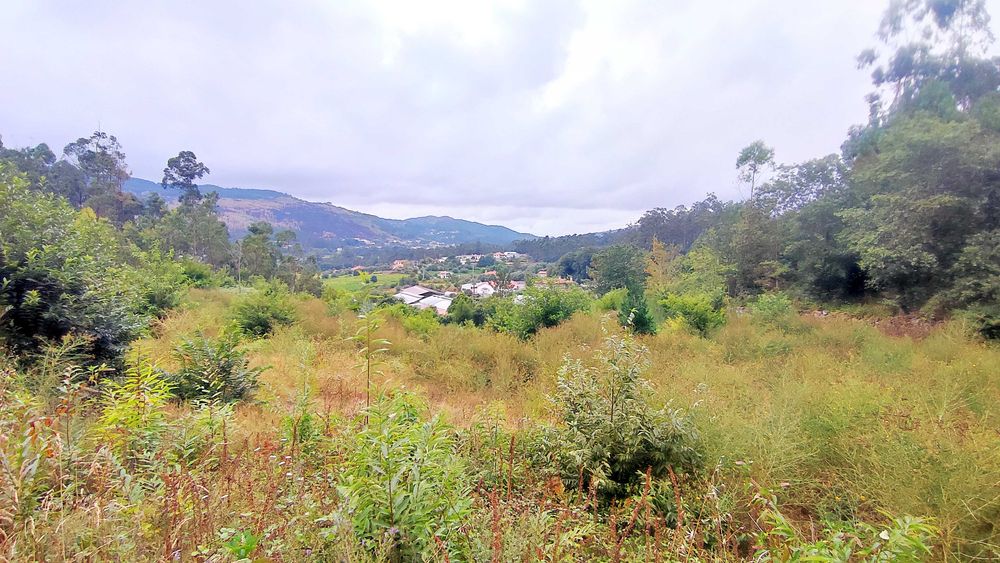 Terreno com 14760m2 dos quais 3350m2 em área construtiva