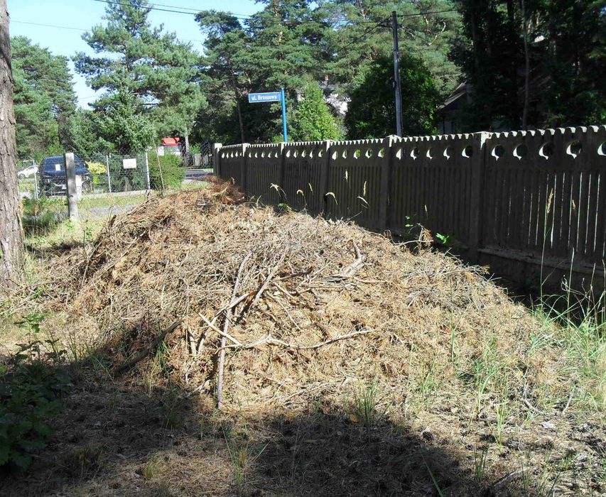Zrębki , gałęzie - za darmo