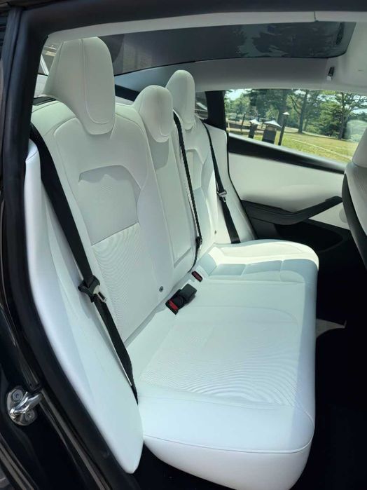 Tesla Model 3      2025