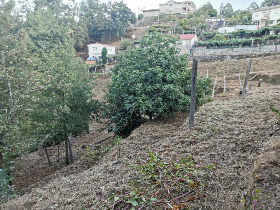 Terreno Quinta Vale Cambra Costa Anelha 0,5HA