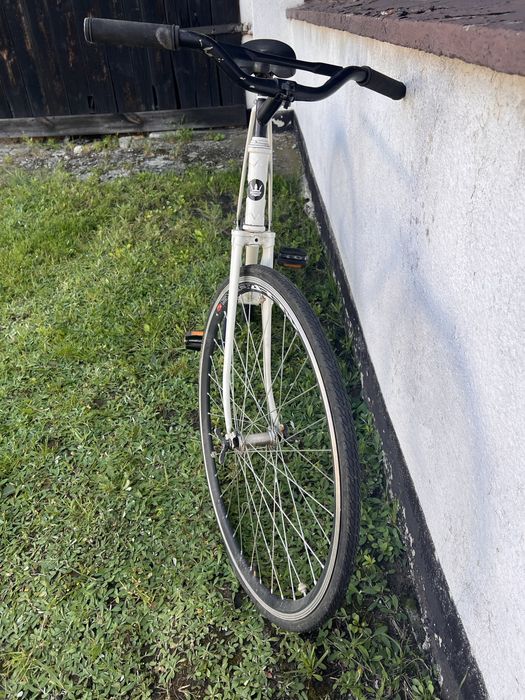 Rower męski torpedo fixed 28”