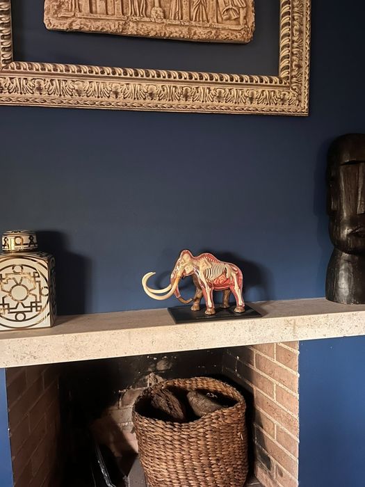 Modelo de Anatomia 4D Vision – Mamute Lanoso (Woolly Mammoth