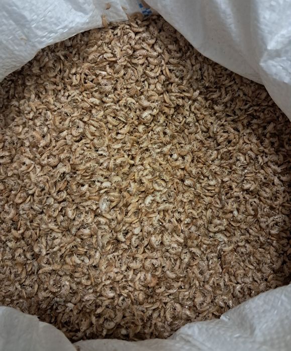 Гамаруси для рибок