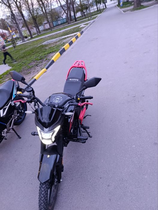 Мустанг мт 250 9r