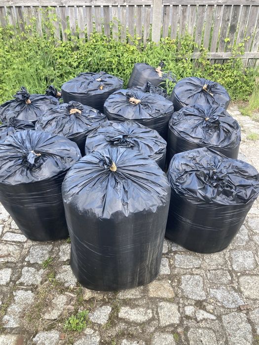 Trociny z surowego drewna za darmo, odbior wlasny.