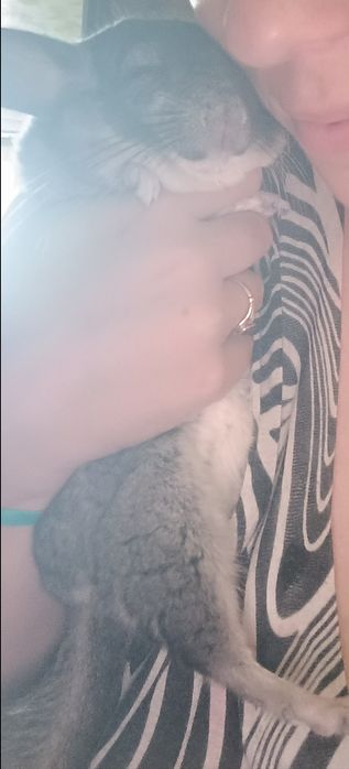 Продається все на фото,кормушка,поїлка+корм