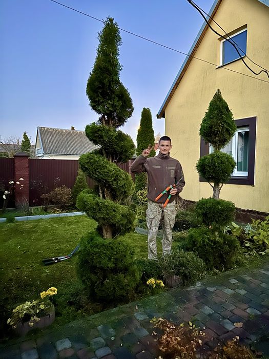 Зачистка ділянки, створення газону…