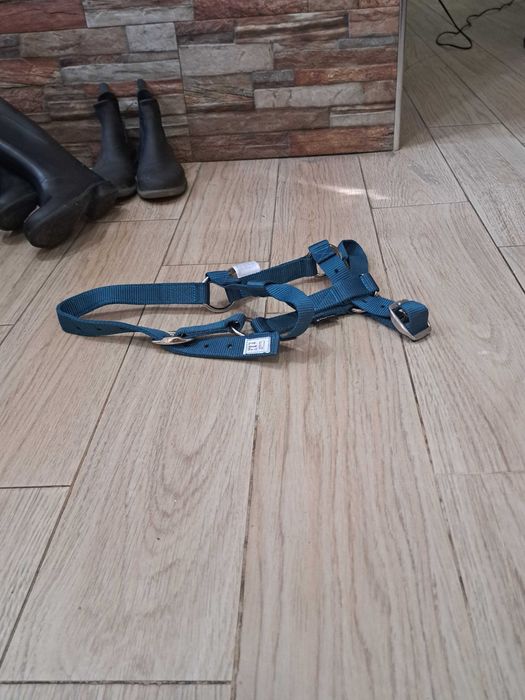 Equipamento equitaçao