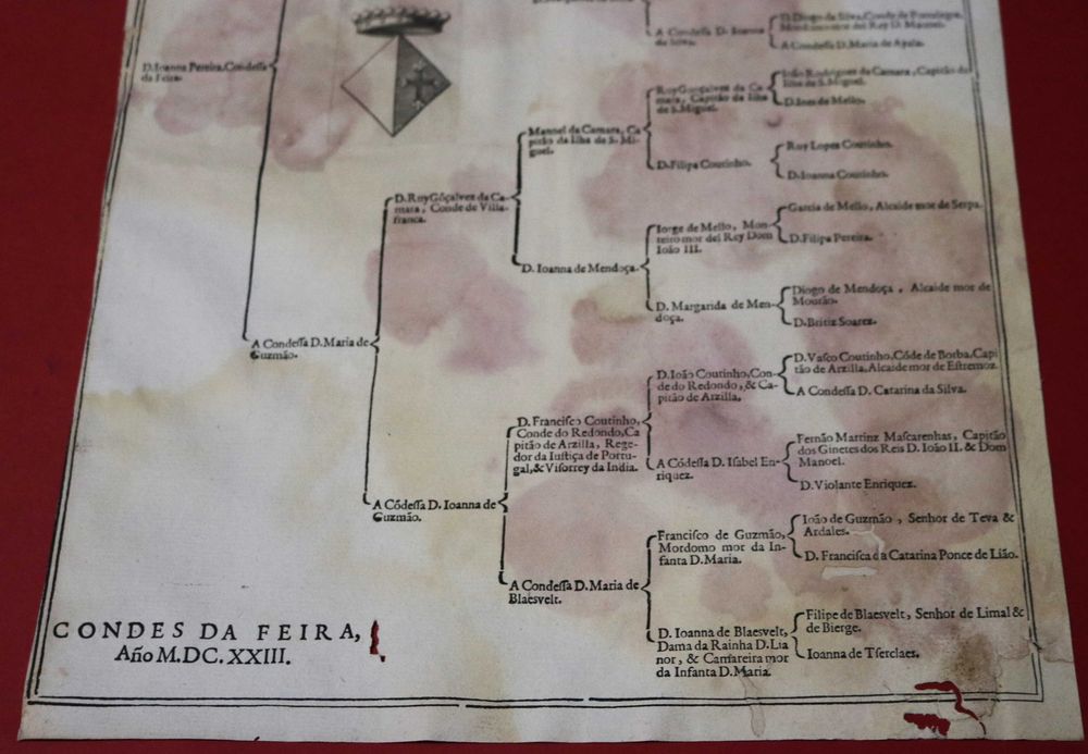 PEREIRA S Condes da FEIRA. grande árvore de costados, 1623