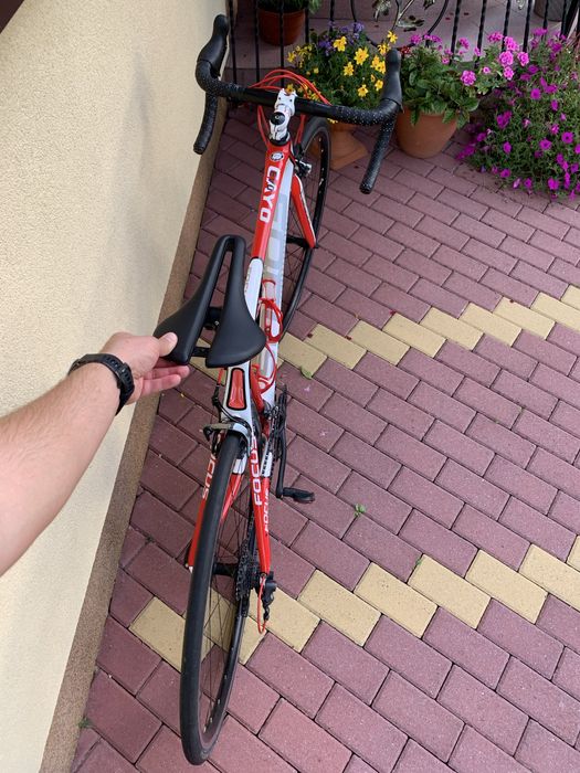 Rower szosowy Focus Cayo Evo 5.0