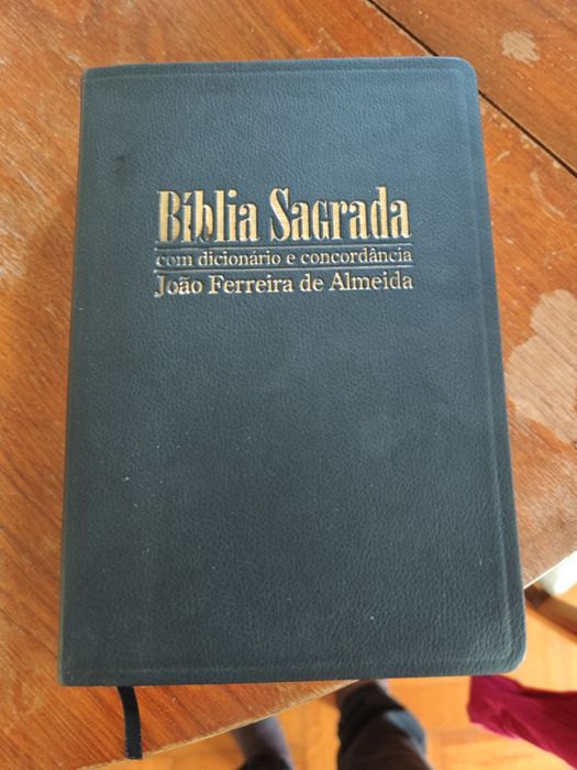 Bíblia sagrada - com dicionário e concordância