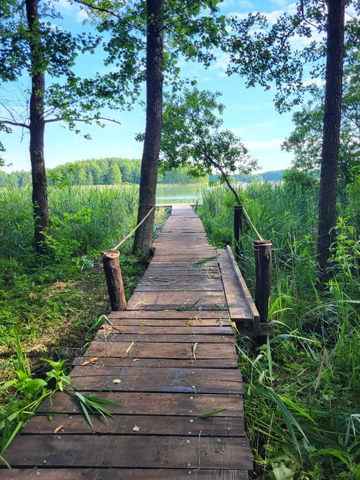 Wigry-całoroczne domy nad jeziorem Suwałki agroturystyka pomosty stawy