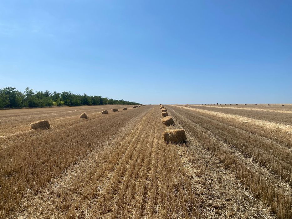 Продам солому в тюках