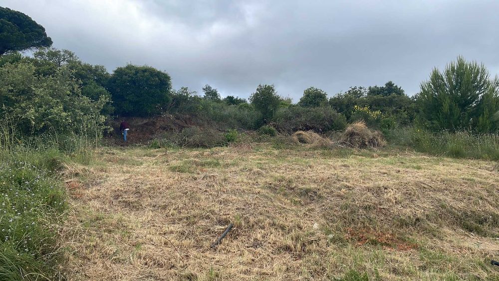 Doação de 500m³ de Terra Limpa em Alenquer