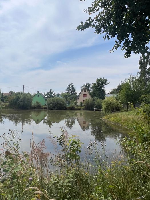 Продаж будинку Велика Калинка і земельної ділянки