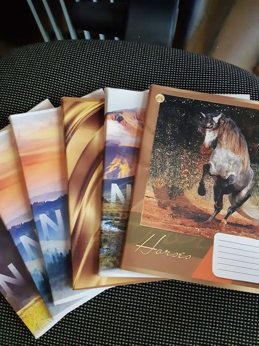 Тетради  в  клетку  и линию