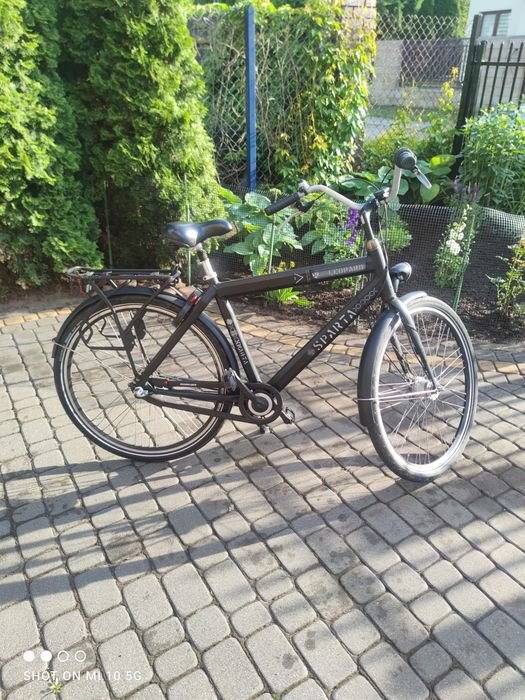 Rower Holenderski męski