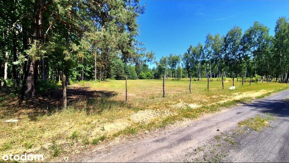 Działka z WZ 1250 m² | Woda | Prąd | Światłowód | Rakówiec