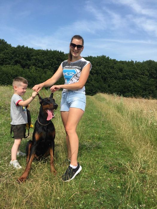 Вязка добермана кобель чистокровний з усіма прививками і паспортом