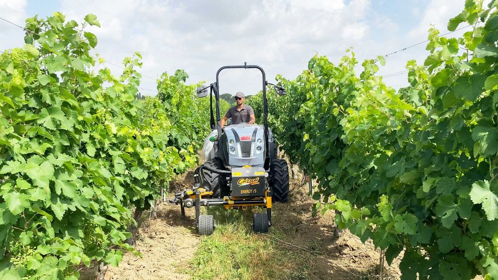 Inter Cepas Orizzonti Energy S