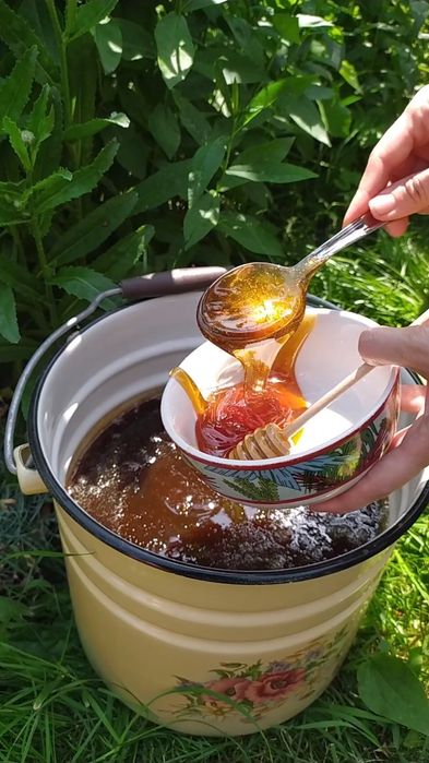 Мед натуральний, Домашня пасіка, гречаний, різнотрав'я