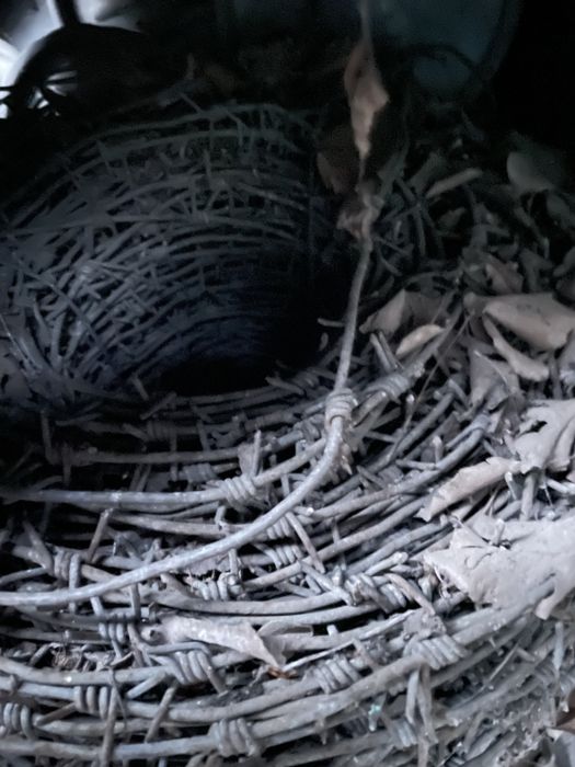 Продам колючую проволоку