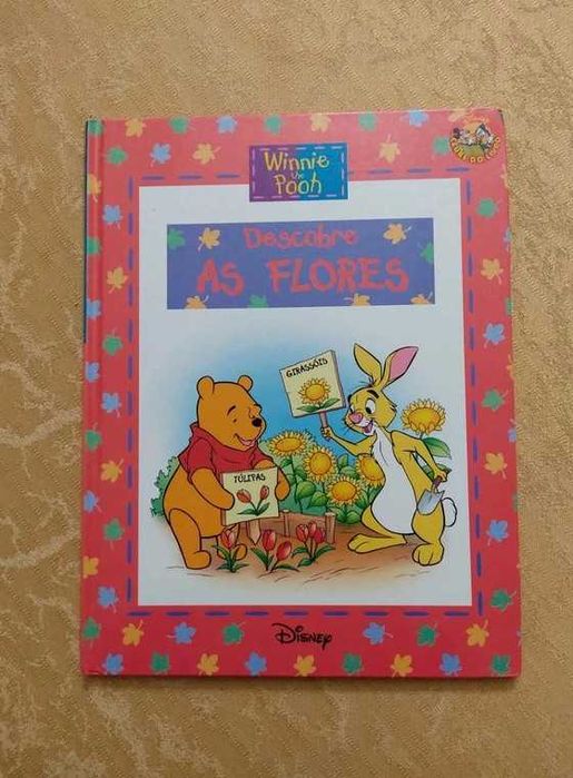 Winnie the pooh Descobre as flores