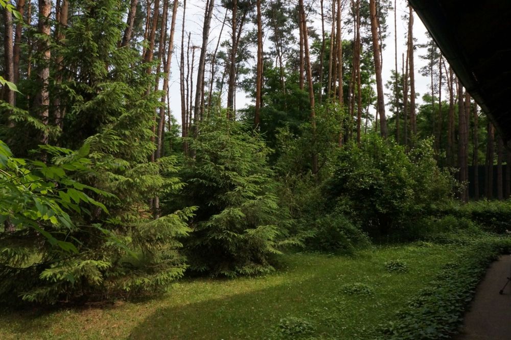 Оренда будинку в Лісі на Річці