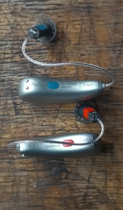 Phonak Audéo Lumity L90-RT