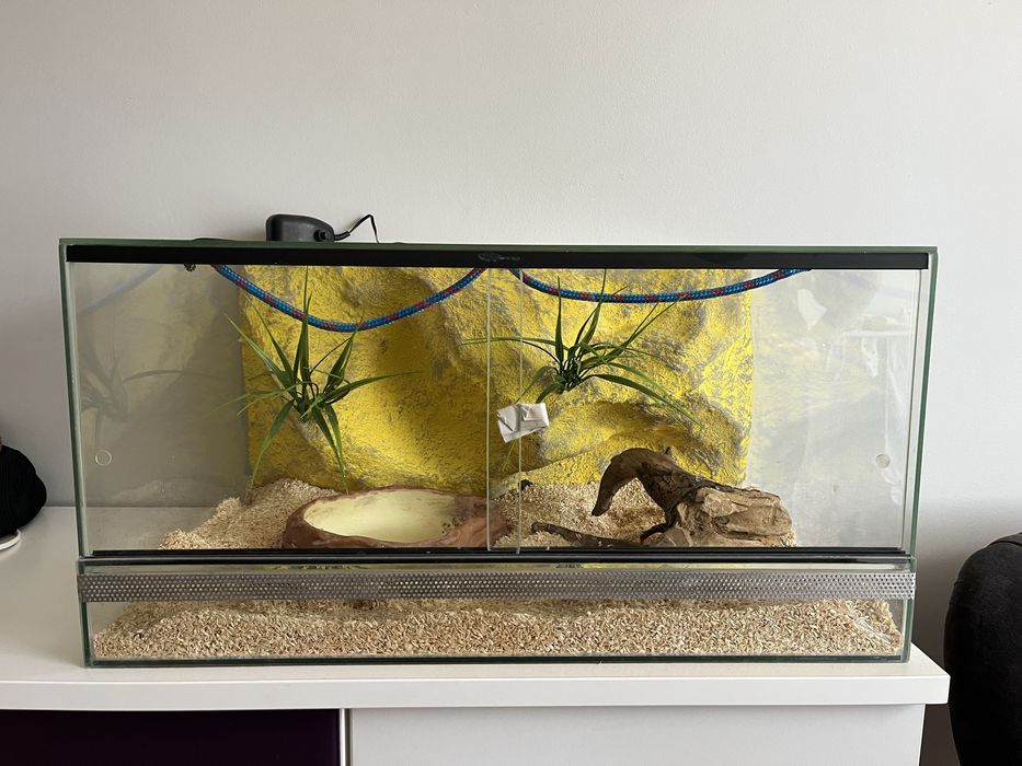 Terrarium stan jak nowe