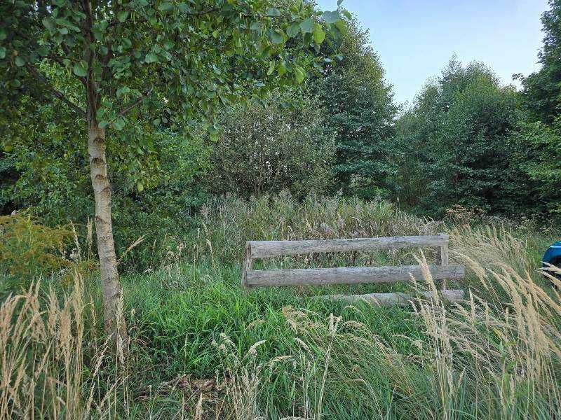 Syndyk sprzeda działkę rekreacyjną w Kolonii Seredzice - Widok 2