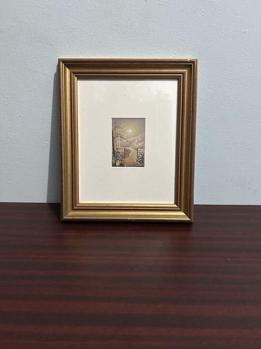 Frame in Like-New Condition